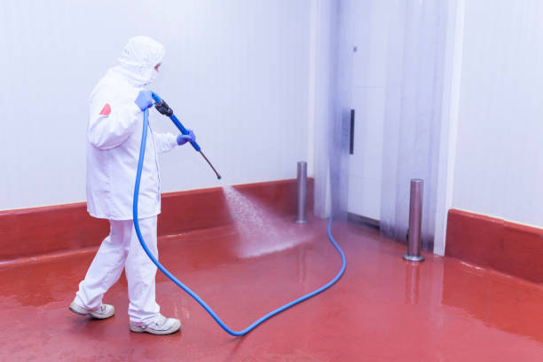 Best Parking Lot Cleaning in Albertson, NY