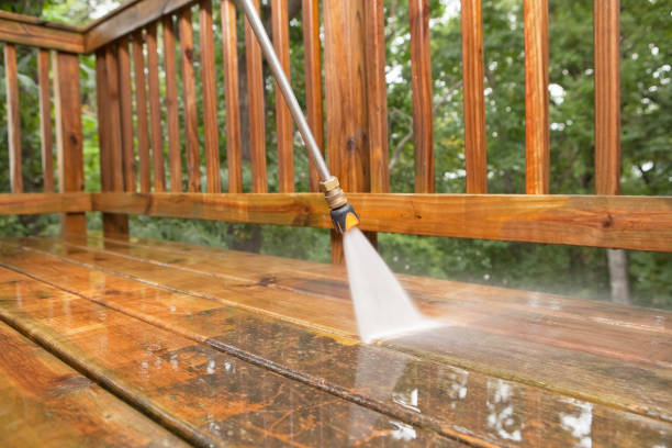 Trusted Albertson, NY Pressure Washing Services Experts